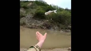 Рыбалка в Чечне. Шамайка. Река Гумс