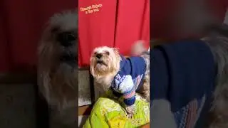 🤔Кто обидел Микки Прямой Эфир в Тик Ток