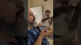 Nikushka tries the goodies that dad brought from Georgia 😋
