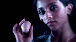 EGG STORY