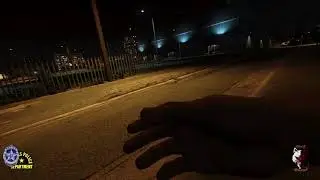VHRP | Short | Dallas Police Foot Pursuit BWC