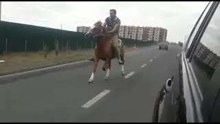 Yorga Atlar Kuren (Qax)