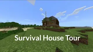 Minecraft Survival House