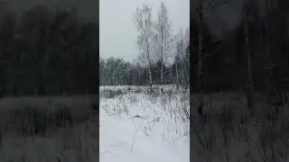 #зима