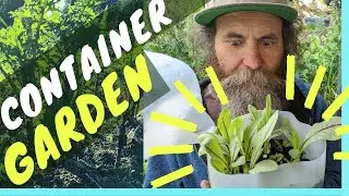 How to GROW VEGETABLES FAST