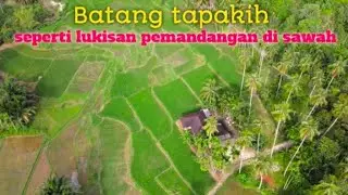 DJI MAVIC AIR Sinematic di persawahan |pinggir tol Padang si cincin