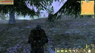 StalkerOnline 2015 07 23 ОТМОРОЗОК--Лесная Братва))