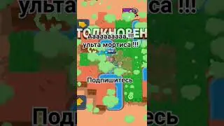мортис не контрица в таких ситуациях