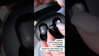 Какие наушники Xiaomi выбрать в 2021? Mi True Wireless Earbuds Basic 2S