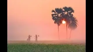 A Winter Mourning in Bangladesh .#six season of Bangladesh , Most beautyfull