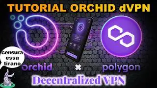 Orchid dVPN como usar VPN descentralizada pré-paga.