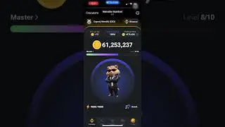 Hamster Kombat комбо 16.06