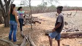 INNOVATE - Interplay between the multiple uses of water reservoirs in Brazil