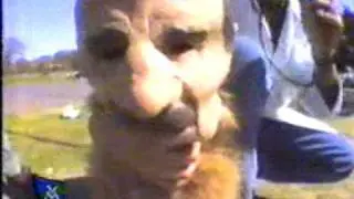 VIDEOMATCH-Cámara Indiscreta VOL 3