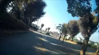 逃走ワンコ捕獲の顛末
