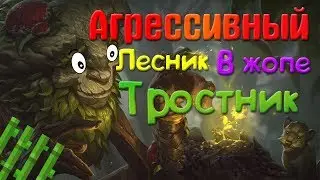 Агрессивный Иверн - League of legends (чемпион до конца)