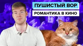 Котик вор || Бесплатное питание в школах