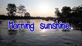 Morning Sunshine