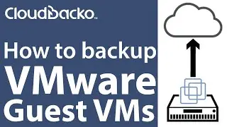 How to backup Guest VMs in VMware ESXi with CloudBacko Pro
