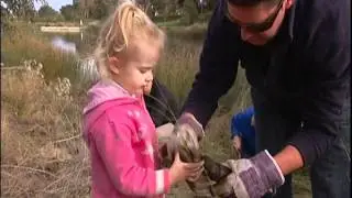 Arbor Day on ABC News