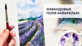 Лавандовые поля / Lavender fields