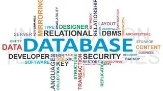 Basic concepts of databae, What is Database, Database categories,DBMS