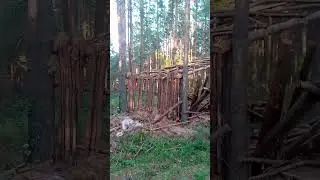 съездил за грибочками, Башкортостан, горы, свежий воздух, квадроцикл ATV250 кубов