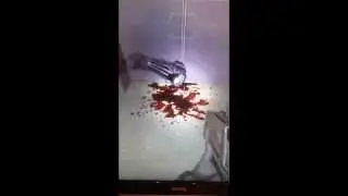 F.E.A.R. 2 Project Origin