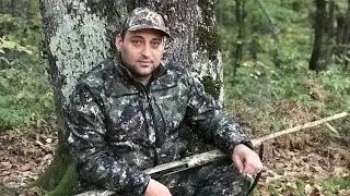 Охота на дикого голубя