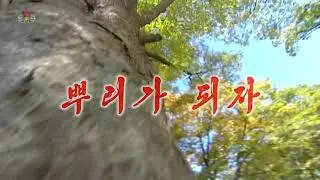 朝鮮歌謡シリーズ 《뿌리가 되자》