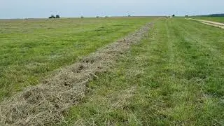 Сенокос в Калужской области. Особенности выращивания кормовых трав.