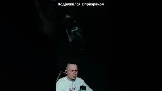 Подружился с призраком VISAGE
