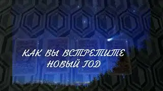 КАК ВЫ ВСТРЕТИТЕ НОВЫЙ ГОД