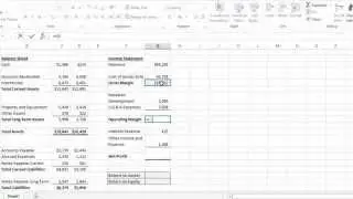 Excel  2013 Tutorial - How to Calculate Return on Assets and Return on Equity Shortly