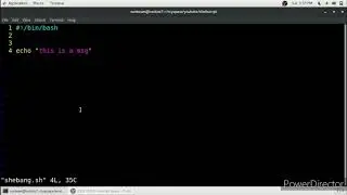 what is #!/bin/bash | what is shebang line