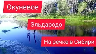 РЫБАЛКА НА РЕКЕ В СИБИРИ/ШОК РЫБАЛКА/ЖОР ЩУКИ И ОКУНЯ