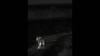 Infrared camera nature shooting