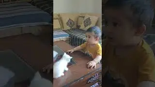 Baby Aashir plays with 4 pretty ❤️ kittens #cats #kittens #baby #babyboy 🐈😻