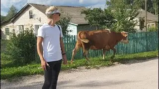 VLOG: город ПОРХОВ | деревня ПОЛОНОЕ