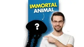 This Mysterious Animal Can Never Die | Knowledge Station#shorts#facts