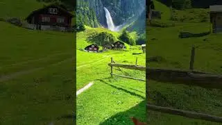 Wow just Awesome 😮😮😮 #shorts #ytshorts #nature #trending #viral