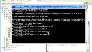 CAS Installation