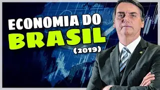 ECONOMIA DO BRASIL EM 2019 | Ricardo Marcílio