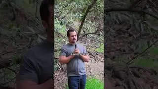 Cheetos plz #comedyreels #funnyvideos #humorous #jokesdaily #lastmeal