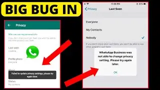 Whatsapp last seen not showing - Failed to update privacy settings please try again later