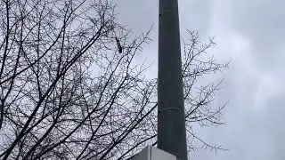 Federal Signal 508 test