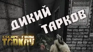 Как НАДО играть за Дикого! Собираем ТОП ЛУТ/ Запись СТРИМа Escape from Tarkov