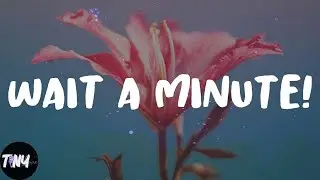 WILLOW - Wait a Minute! (Lyrics)