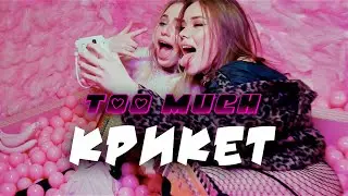 too much  - крикет (Премьера клипа, 2020)