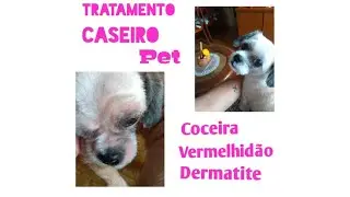 Como tratar alergia e coceira em cães
